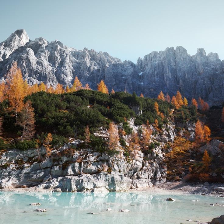 Nature travel hero image